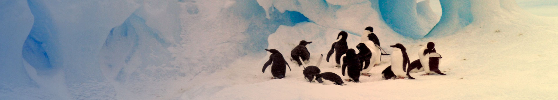 Nachhaltig und energiesparend