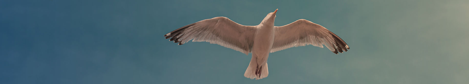 Nachhaltig und energiesparend
