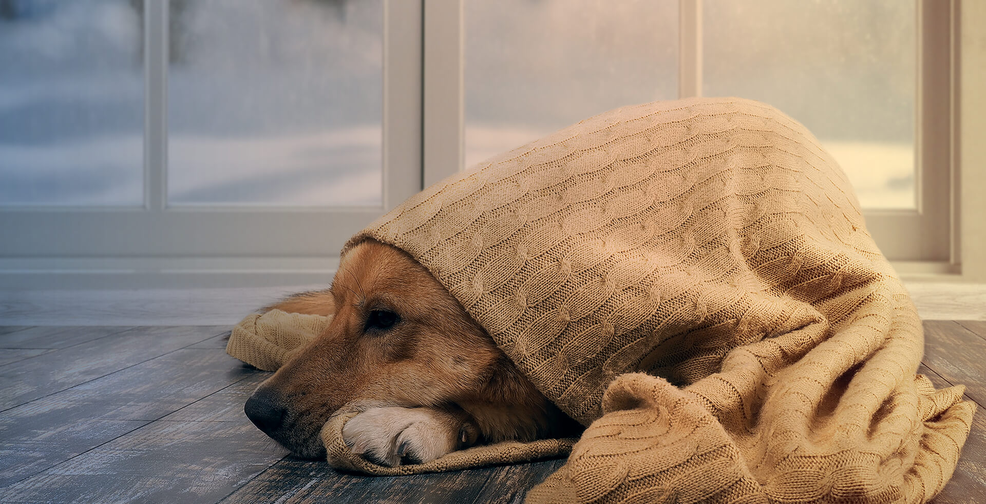 Experten f&uuml;r Wohlf&uuml;hlklima