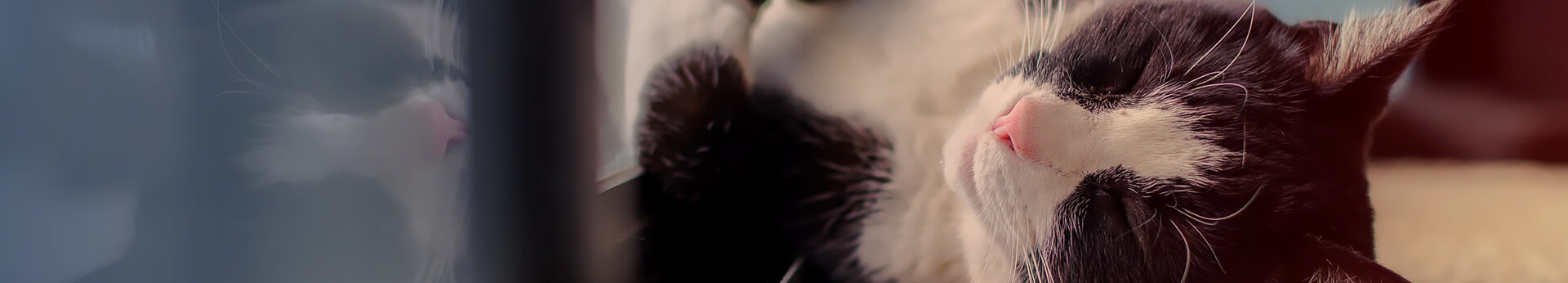 Nachhaltig und energiesparend